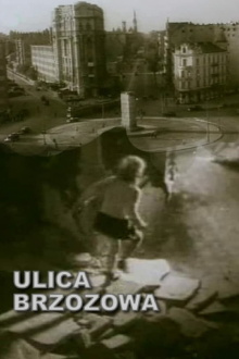 Brzozowa Street Trailer