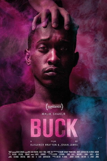 Buck Trailer