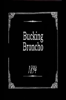 Bucking Broncho Trailer