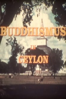 Buddhismus in Ceylon Trailer