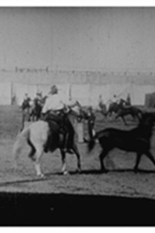 Buffalo Bill: lassage de chevaux Trailer
