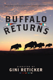 Buffalo Returns Trailer