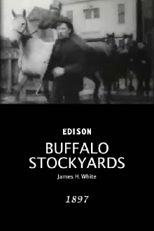 Buffalo Stockyards Trailer