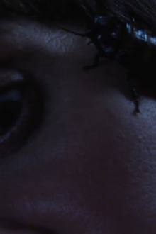 Bug Complex Trailer