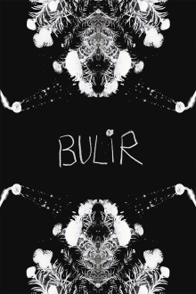 BULIR Trailer