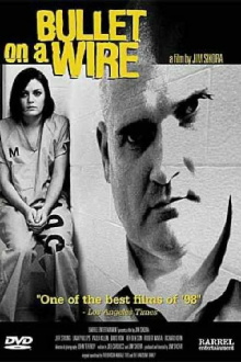 Bullet on a Wire Trailer