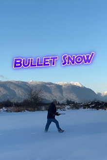 Bullet Snow Trailer