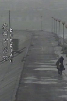 Bundled Trailer
