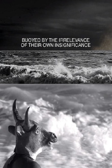 Buoyed by the Irrelevance of Their Own Insignificance Trailer