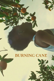 Burning Cane Trailer