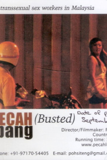 Busted Trailer