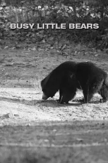 Busy Little Bears Trailer