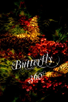 Butterfly 360° Trailer
