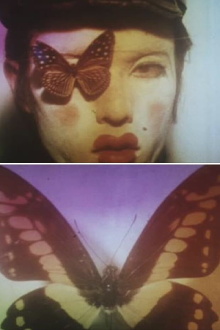 Butterfly Trailer