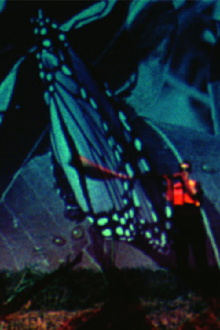 Butterfly Disaster Trailer