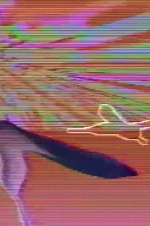 Butterfly Trailer