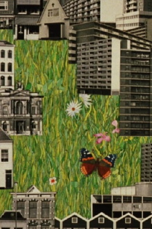 Butterfly R.I.P. 1975 Trailer