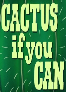Cactus if You Can Trailer