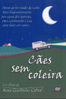 Cães Sem Coleira Trailer