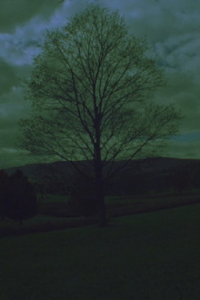 Calder for Peter Trailer