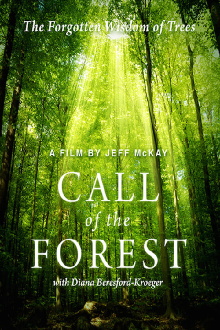 Call of the Forest: The Forgotten Wisdom of Trees Trailer