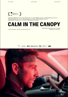 Calm in the Canopy Trailer
