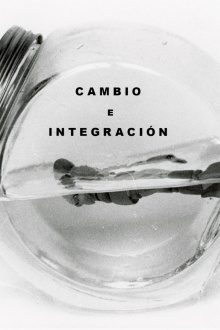 Cambio e Integración Trailer