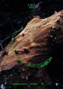 Cambium Trailer