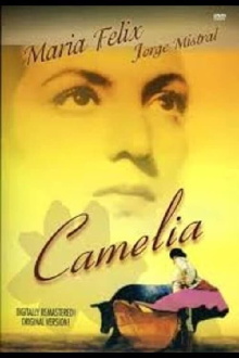 Camelia Trailer
