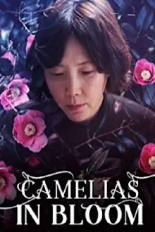Camellias in Bloom Trailer