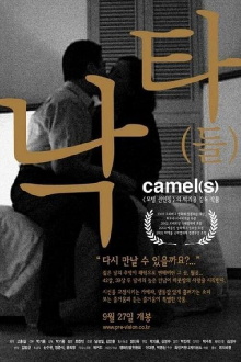 Camel(s) Trailer