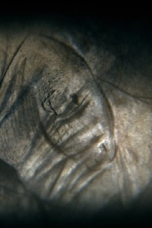 Camera obscura Trailer