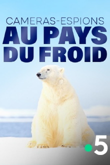 Caméras-espions au pays du froid Trailer