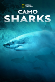 Camo Sharks Trailer