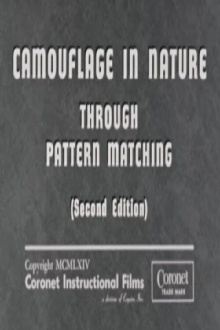 Camouflage In Nature: Through Pattern Matching (Second Edition) Trailer