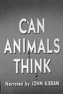 Can Animals Think Trailer