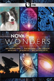 Can We Build a Brain? Trailer