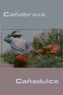 Cañabrava Cañadulce Trailer