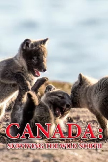 Canada: Surviving the Wild North Trailer