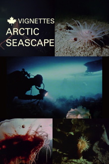 Canada Vignettes: Arctic Seascape Trailer