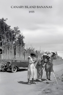 Canary Island Bananas Trailer