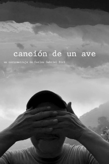 canción de un ave Trailer
