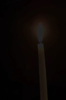 Candle in the wind Trailer