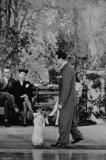 Canine Capers Trailer