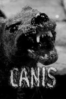 Canis Trailer