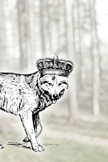 Canis Lupus Belgicus Trailer