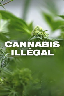 Cannabis illégal Trailer