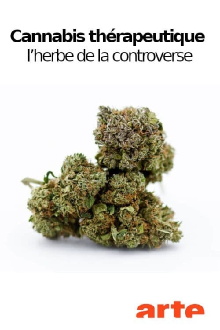 Cannabis thérapeutique, l’herbe de la controverse Trailer