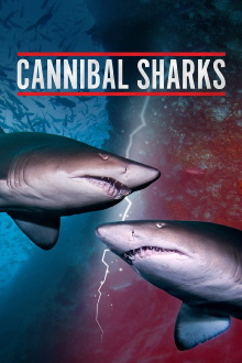 Cannibal Sharks Trailer