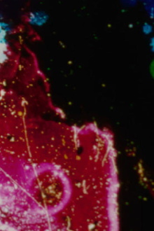 Cannot Not Exist Trailer